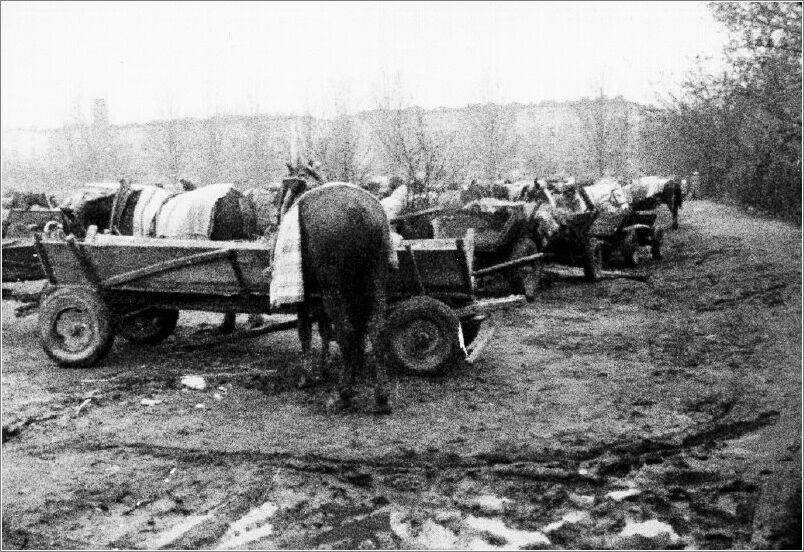 Peasants' wagons beside the marketplace in Radom.